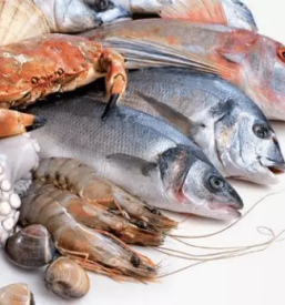 Sveze skoljke sezana