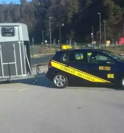 Tecaj cpp slovenija