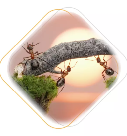 Tecaji javnega nastopanja ljubljana