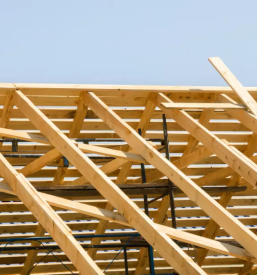 Tesarstvo osrednja slovenija