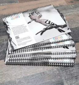 Ugoden tisk na tekstil Pomurje, Slovenija