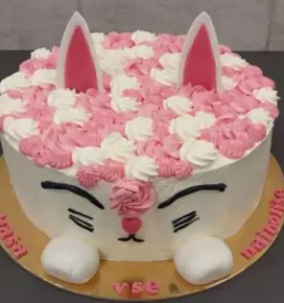 Torte in slaščice posavje