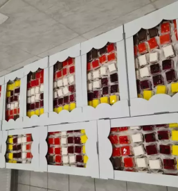 Torte in slascice po narocilu slovenija