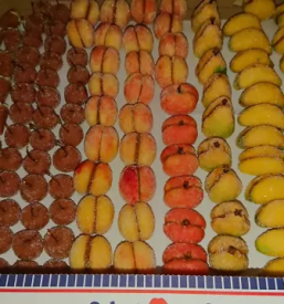 Torte in slaščice po naročilu slovenija