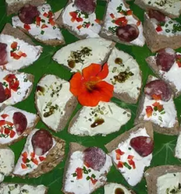 Tourist farm with accommodation Pomurje