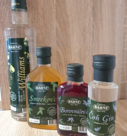 Tradicionalne slovenske žgane pijače