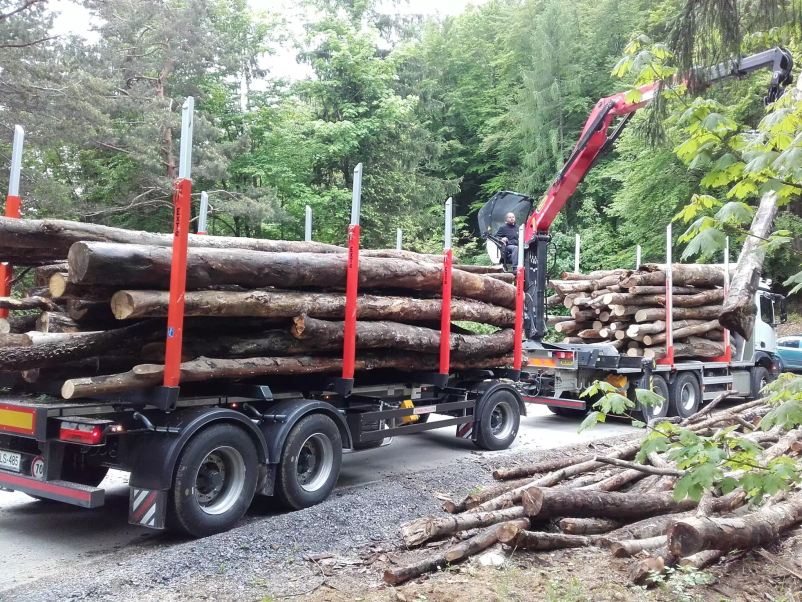 Poceni transport hlodovine po Sloveniji 