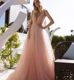 Trgovina s porocnimi oblekami kisovec