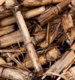 Trgovina z biomaso maribor okolica stajerska