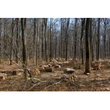 Ivan Kurade s.p., trgovina na drobno zunaj prodajaln, stojnic in tržnic