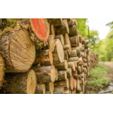 GOZDARSKE STORITVE, TOMI LIPAR S.P.