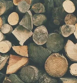 Trgovina z lesom dolenjska