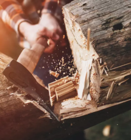 Trgovina z lesom rovte in okolica