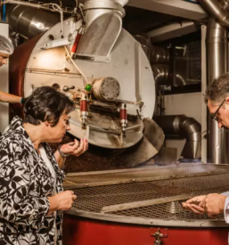 Trgovska kava in gostinska kava koper