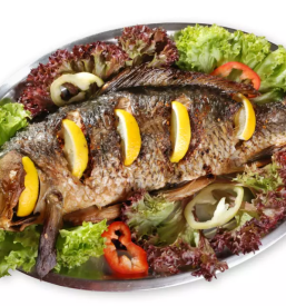 Turistična kmetija Primorska