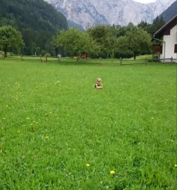 Turisticna kmetija v logarski dolini