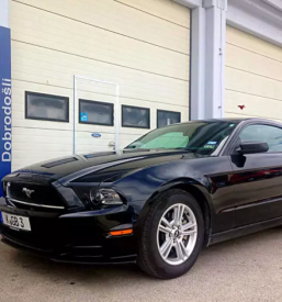 Kakovosten avtomehanik Lesce