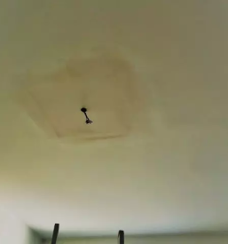 Natančen čistilni servis Ljubljana in okolica