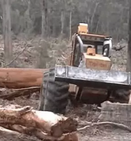 Ugoden odkup lesa slovenija