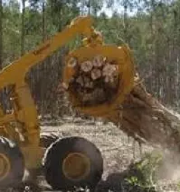 Ugoden odkup lesa slovenija