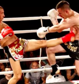 Osebni trener za borilne veščine