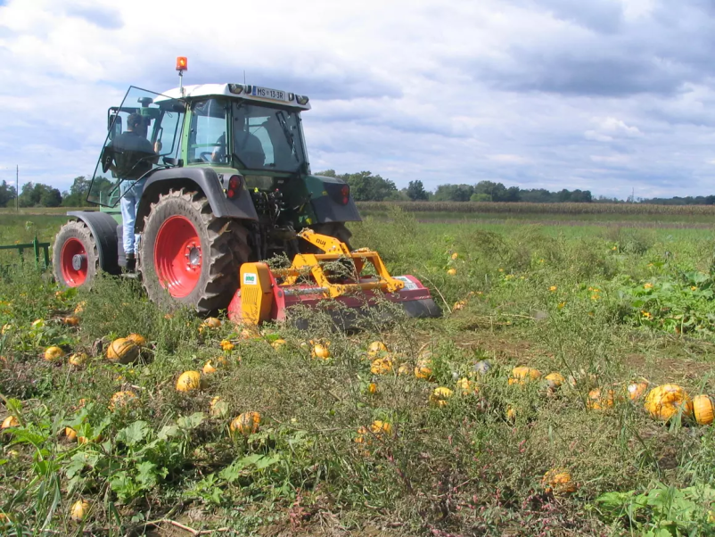 Če potrebujete ugoden plug za buče, smo v Sloveniji prava izbira