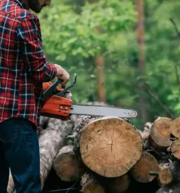 Ugoden posek in spravilo lesa za Gorenjsko