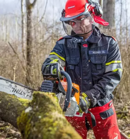 Ugodno spravilo lesa Osrednja Slovenija