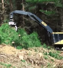 Ugoden posek in spravilo lesa slovenija