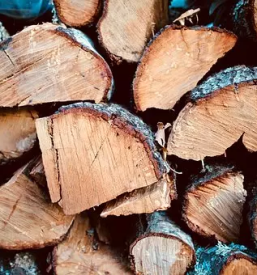 Ugoden posek lesa stajerska
