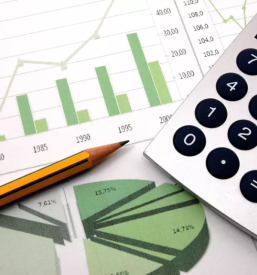 Računovodski servis Domžale, Osrednja Slovenija