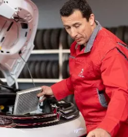 Ugoden servis vozil primorska