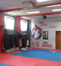 Ugoden slikopleskar maribor