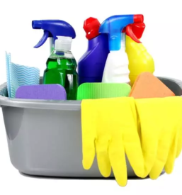 Ugodna cistilka na obali