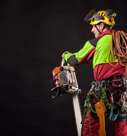 Gozdarski stroji Savinjska