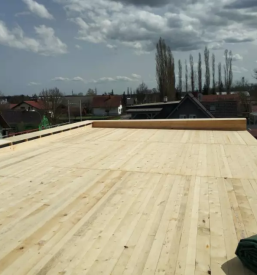 Ugodna izdelava ravnih streh stajerska