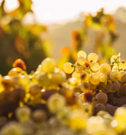 Ugodna montaza stavbnega pohistva stajerska - znanje in strokovnost