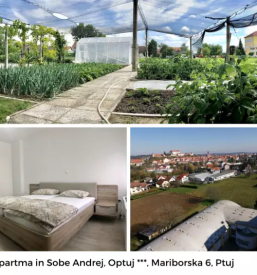 Ugodna nocitev na ptuju