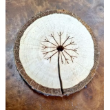 BRANKA PREPADNIK S.P.