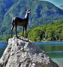 Ugodna prenocisca bohinjsko jezero
