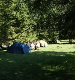 Ugodna prenocisca soca