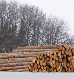 Ugodna secnja slovenija