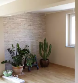 Slikopleskarska dela Gorenjska