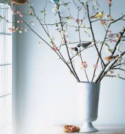 Vrhunska slikopleskarska dela Ljubljana