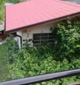 Ugodna stresna kritina slovenija