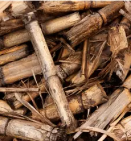 Ugodna trgovina z biomaso maribor okolica