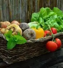 Ugodna zelenjava osrednja slovenija