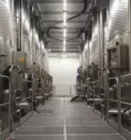 Ugodne cisterne in prese za vino slovenija