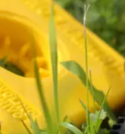 Ugodne geodetske storitve savinjska