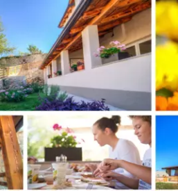 Ugodne nocitve kozina